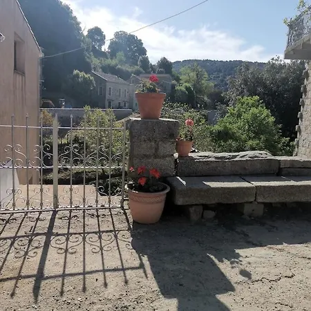 Chez Perle A Levie, Entier De Type T4 *