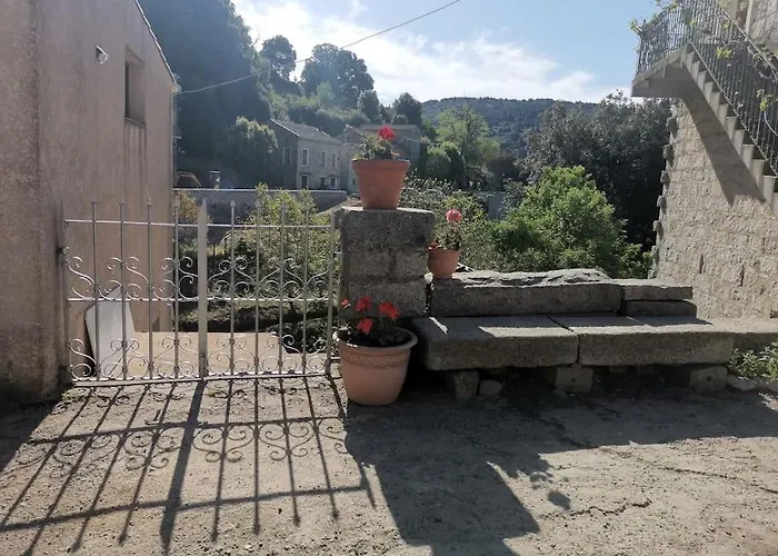 Chez Perle à Levie, Entier De Type T4 *