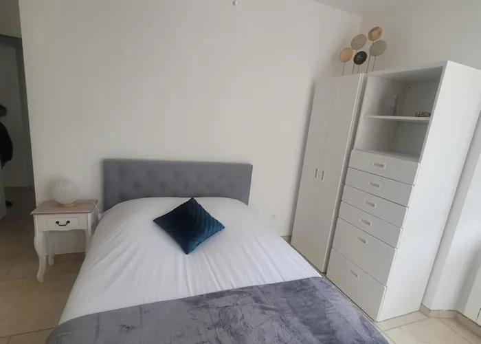 公寓 Chez Perle A Levie, Entier De Type T4 *